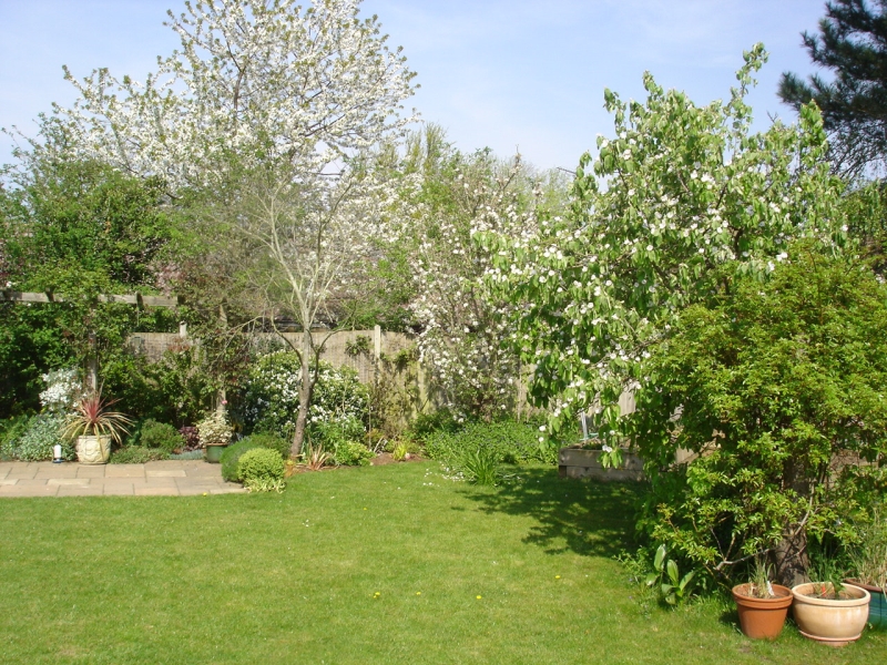 Ely Open Gardens